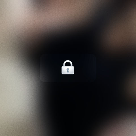 Featured Members in Boston